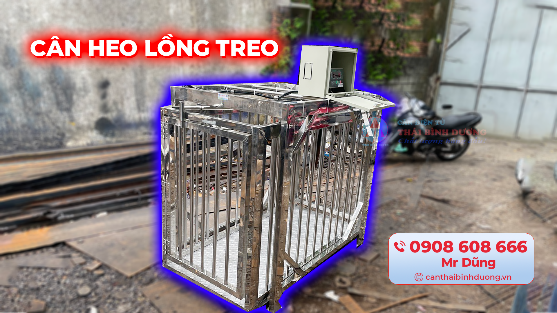 cân heo lồng treo